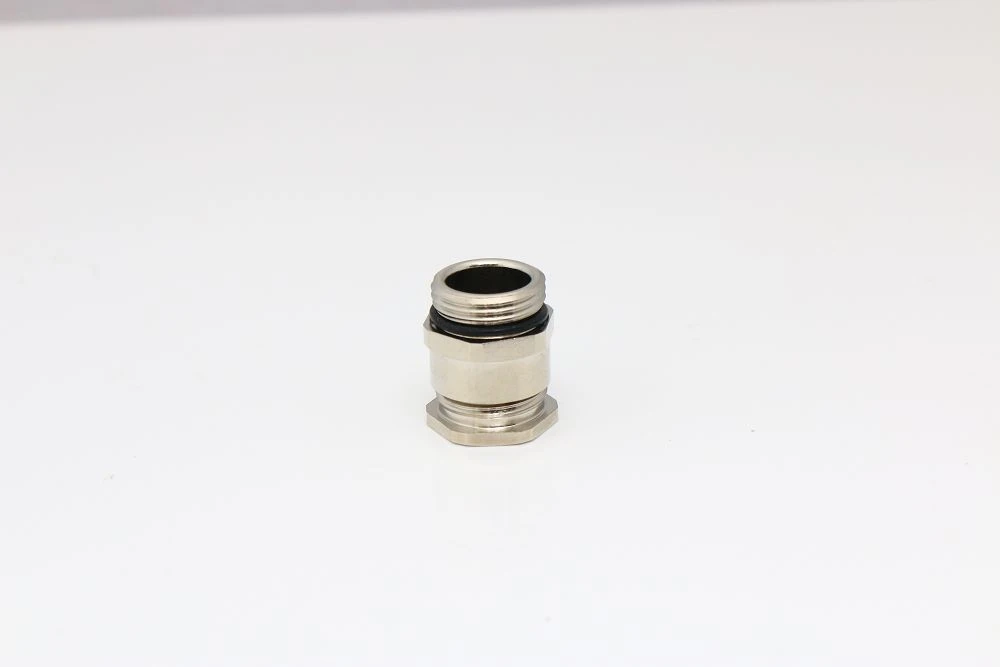 product-1000-667 product-1000-667